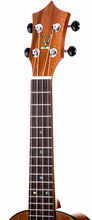 Load image into Gallery viewer, Kumu Concert Uke, Thin Body, Hawaiian Koa